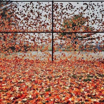 12122435_942030265844035_3930558918467653296_n